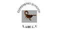 Corporativo Scorpion Sa De Cv logo