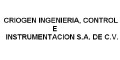 Criogen Ingenieria, Control E Instrumentacion S.A De C.V.