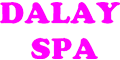 Dalay Spa logo