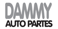 DAMMY AUTO PARTES logo