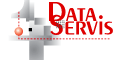 Data Servis logo