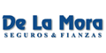 De La Mora Seguros Y Fianzas logo