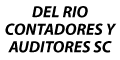 Del Rio Contadores Y Auditores Sc logo