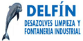 Delfin Desazolves Limpieza Y Fontareria Industrial