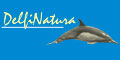 Delfinatura logo