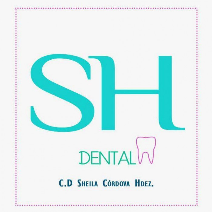 DENTISTA XALAPA SH DENTAL logo