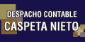DESPACHO CONTABLE CASPETA NIETO logo