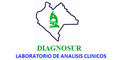 Diagnosur logo