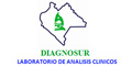 Diagnosur