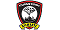 DIAMANTE SEGURIDAD PRIVADA logo