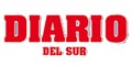 Diario Del Sur logo