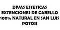 Divas Esteticas Extensiones De Cabello 100% Natural En San Luis Potosi logo
