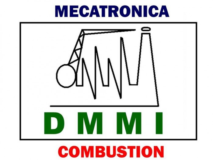 DMMI logo
