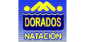DORADOS NATACION logo