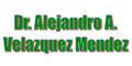 Dr Alejandro A Velazquez Mendez