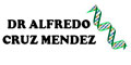 Dr Alfredo Cruz Mendez