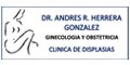 Dr. Andres Herrera Gonzalez