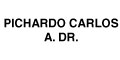 Dr Carlos A Pichardo logo