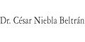 Dr Cesar Niebla Beltran