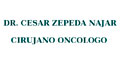 Dr. Cesar Zepeda Najar Cirujano Oncologo