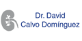 Dr David Calvo Dominguez