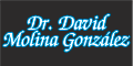 Dr. David Molina Gonzalez