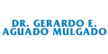 Dr. Gerardo E. Aguado Mulgado