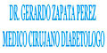 Dr. Gerardo Zapata Perez Medico Cirujano Diabetologo logo