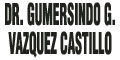 Dr. Gumersindo G. Vazquez Castillo
