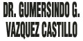 Dr. Gumersindo G. Vazquez Castillo