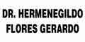 Dr Hermenegildo Flores Gerardo logo