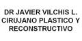 Dr. Javier Vilchis L. Cirujano Plastico Y Reconstructivo logo