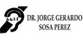 Dr. Jorge Gerardo Sosa Perez