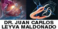 Dr Juan Carlos Leyva Maldonado logo