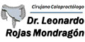 Dr Leonardo Rojas Mondragon