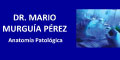 Dr Mario Murguia Perez logo