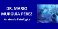 Dr Mario Murguia Perez