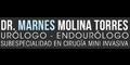 Dr. Marnes Molina Torres