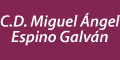 Dr Miguel Angel Espino Galvan