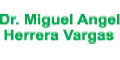 Dr Miguel Angel Herrera Vargas