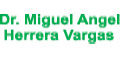 Dr Miguel Angel Herrera Vargas