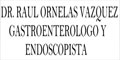 Dr. Raul Ornelas Vazquez Internista Gastroenterologo Y Endoscopista logo