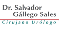 Dr Salvador Gallego Sales