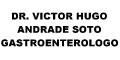 Dr. Victor Hugo Andrade Soto Gastroenterologo