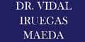 Dr. Vidal Iruegas Maeda