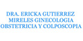 Dra. Ericka Gutierrez Mireles Ginecologia Obstetricia Y Colposcopia