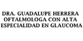 Dra Guadalupe Herrera Oftalmologa Con Alta Especialidad En Glaucoma logo