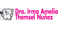 Dra Irma Amelia Themsel Nuñez