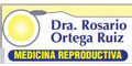 Dra. Rosario Ortega Ruiz