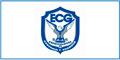 Ecg Global logo